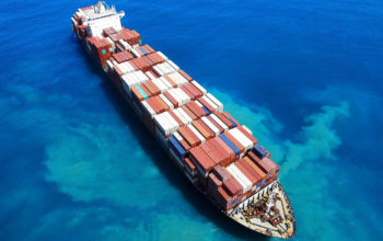 export_1 export_1